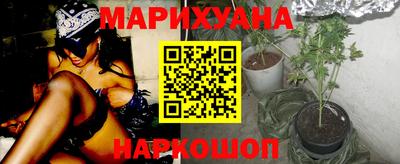 бошки Гай
